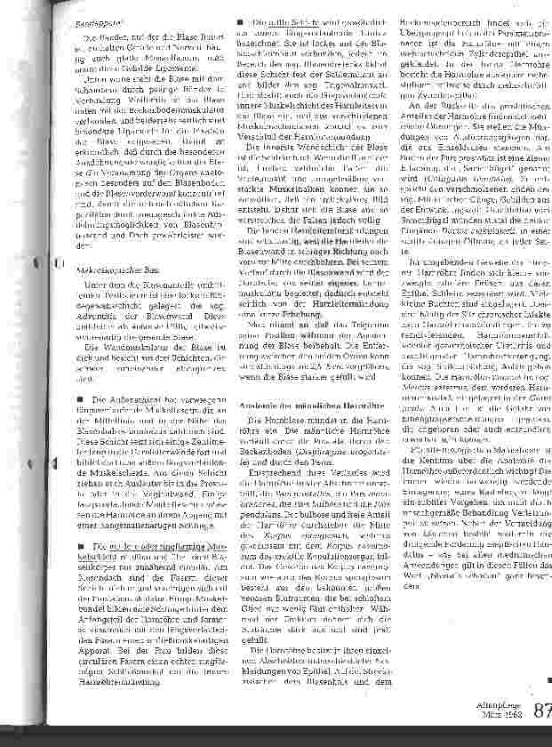 Vorschauseite 2: Anatomie der Harnblase und Harnröhre