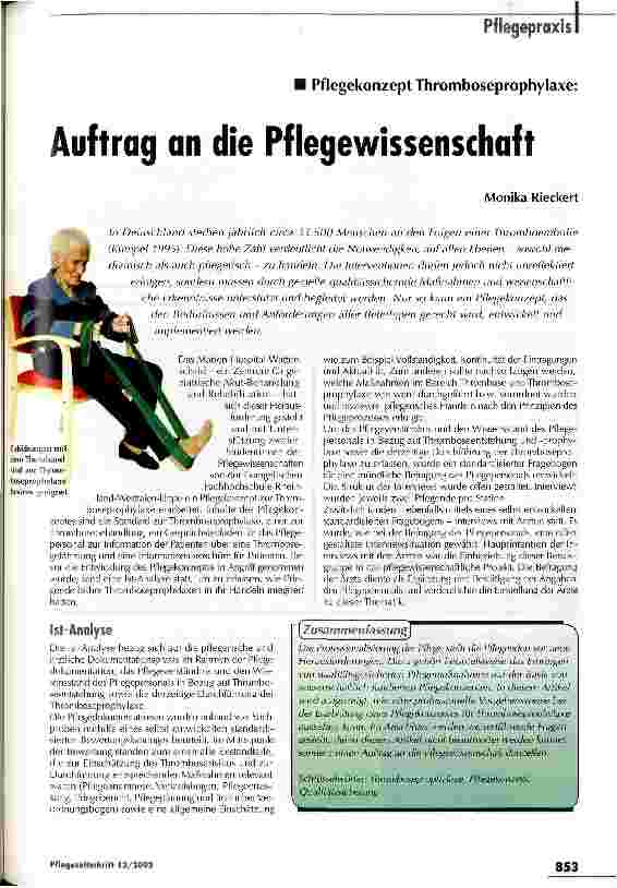 Vorschauseite 1: Auftrag an die Pflegewissenschaft