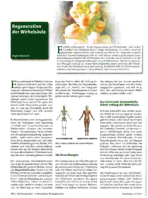 Vorschauseite 1: Regeneration der Wirbelsäule