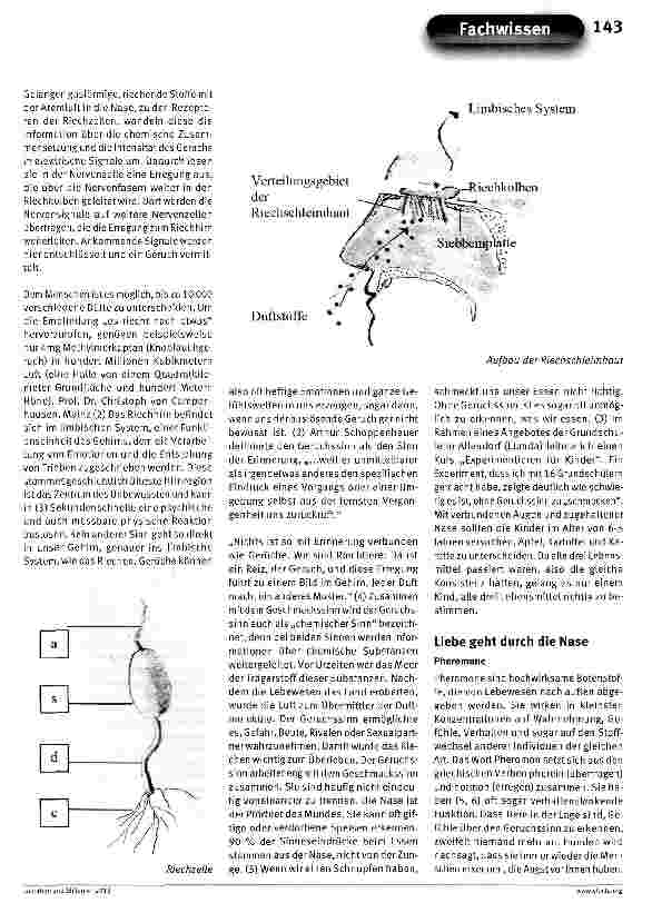 Vorschauseite 2: Durch die Nase lieben lernen
