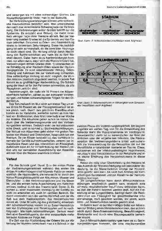 Vorschauseite 2: Die Verbrennungskrankheit