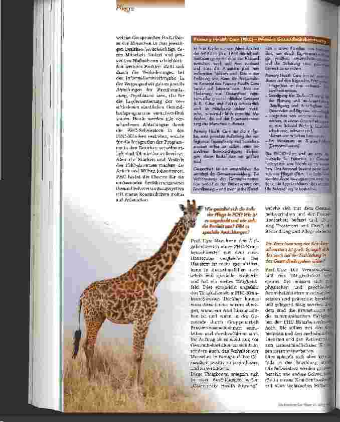 Vorschauseite 3: Die Pflege in Südafrika ist es wert