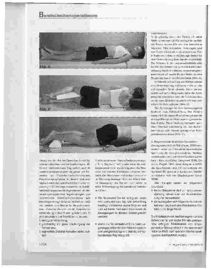 Vorschauseite 3: Postoperative und rehabilitative Physiotherapie nach nicht zusätzlich instrumentierten Bandscheibenoperationen (Nukleotomie, Hemilaminektomie, Laminektomie)