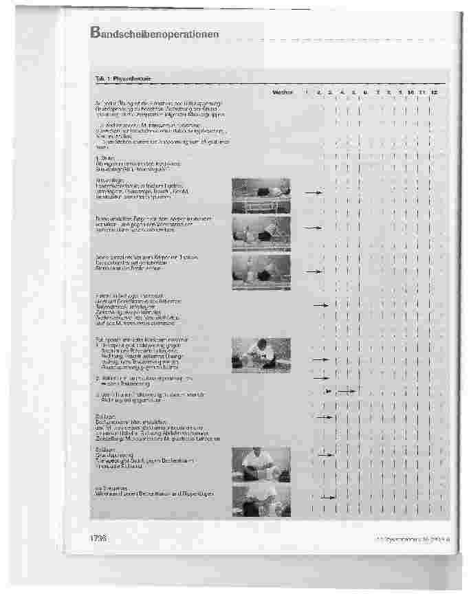 Vorschauseite 5: Postoperative und rehabilitative Physiotherapie nach nicht zusätzlich instrumentierten Bandscheibenoperationen (Nukleotomie, Hemilaminektomie, Laminektomie)