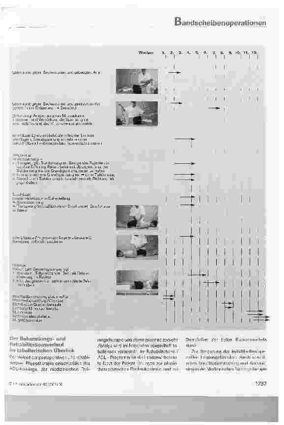 Vorschauseite 6: Postoperative und rehabilitative Physiotherapie nach nicht zusätzlich instrumentierten Bandscheibenoperationen (Nukleotomie, Hemilaminektomie, Laminektomie)