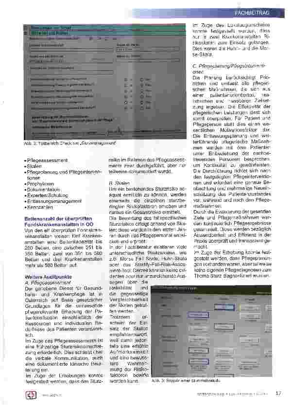 Vorschauseite 2: Sturzmanagement in den OÖ Fondskrankenanstalten aus Sicht der zentralen Prüfgruppe der Abteilung Gesundheit