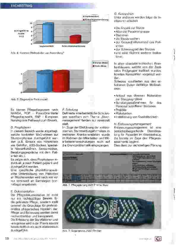 Vorschauseite 3: Sturzmanagement in den OÖ Fondskrankenanstalten aus Sicht der zentralen Prüfgruppe der Abteilung Gesundheit