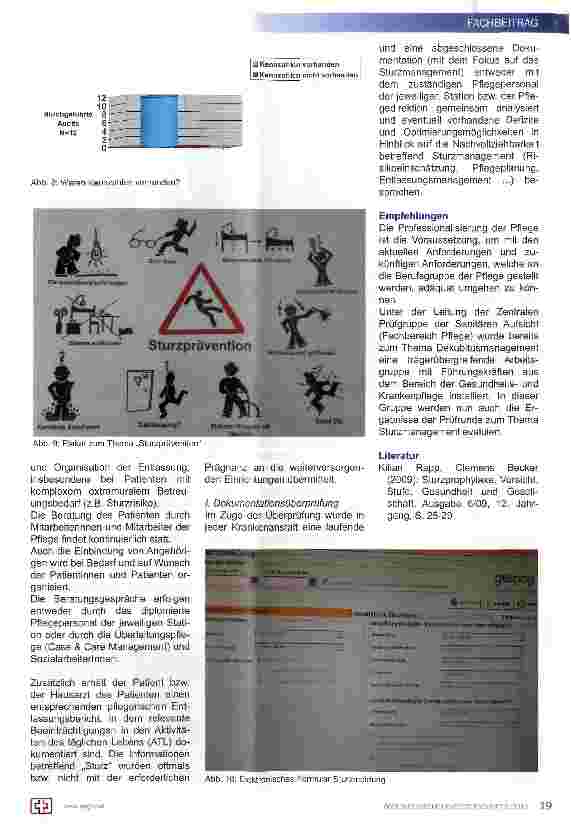 Vorschauseite 4: Sturzmanagement in den OÖ Fondskrankenanstalten aus Sicht der zentralen Prüfgruppe der Abteilung Gesundheit