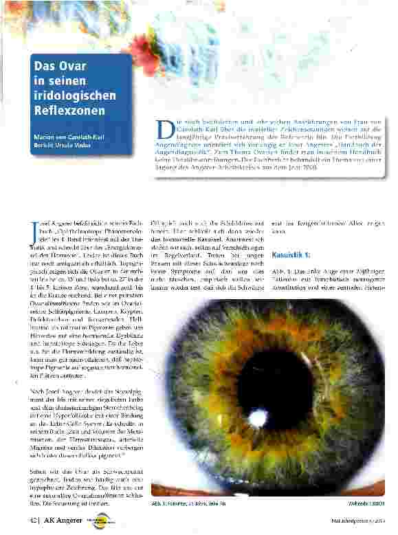 Vorschauseite 1: Das Ovar in seinen iridologischen Reflexzonen