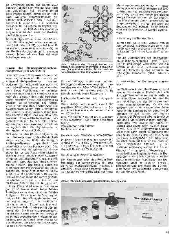 Vorschauseite 2: Transfusionskunde, Blutgruppenserologie und Immunhämatologie 28. Folge: Die Rötelinfektion