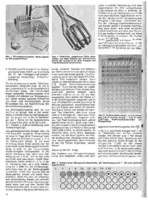 Vorschauseite 3: Transfusionskunde, Blutgruppenserologie und Immunhämatologie 28. Folge: Die Rötelinfektion