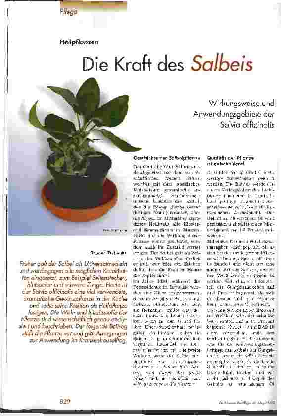 Vorschauseite 1: Die Kraft des Salbeis