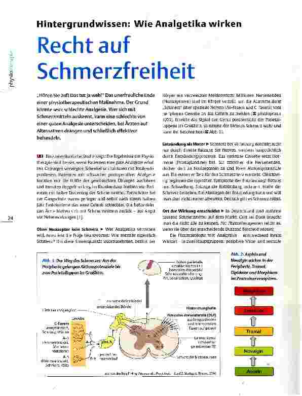 Vorschauseite 1: Hintergrundwissen: Wie Analgetika wirken Recht auf Schmerzfreiheit