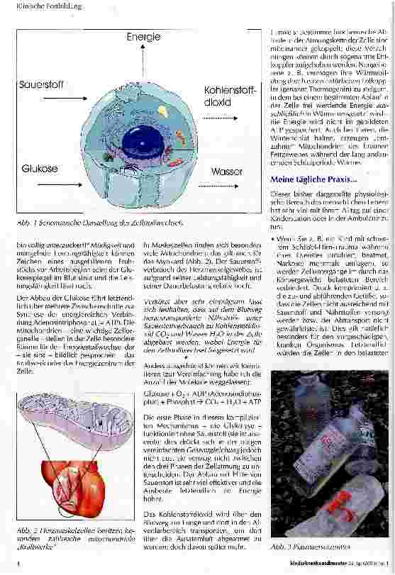 Vorschauseite 2: Anathomie und Physiologie in Wort und Bild Der Zellstoffwechsel