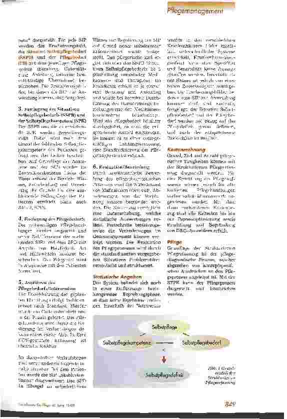 Vorschauseite 2: Pflege im DRG-System - Wie kann pflegerische Leistung erfasst werden? Teil 3: STPE und ICNP