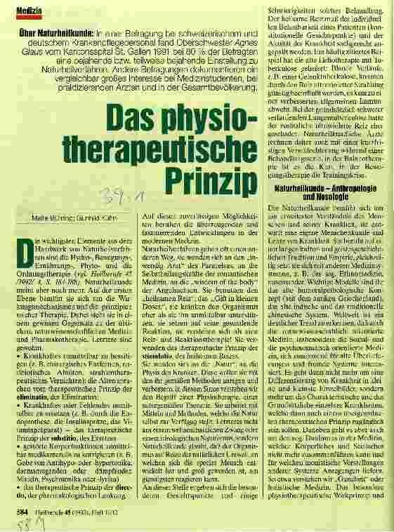 Vorschauseite 1: Das physiotherapeutische Prinzip