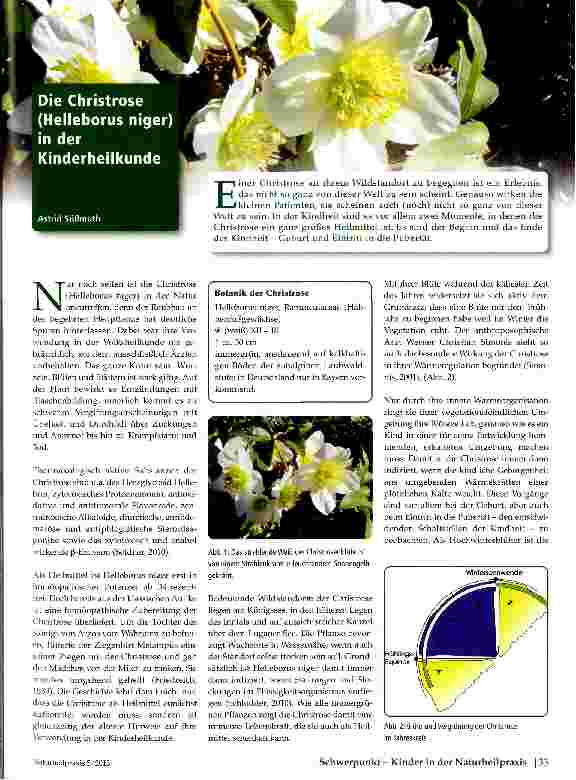 Vorschauseite 1: Die Christrose in der Kinderheilkunde