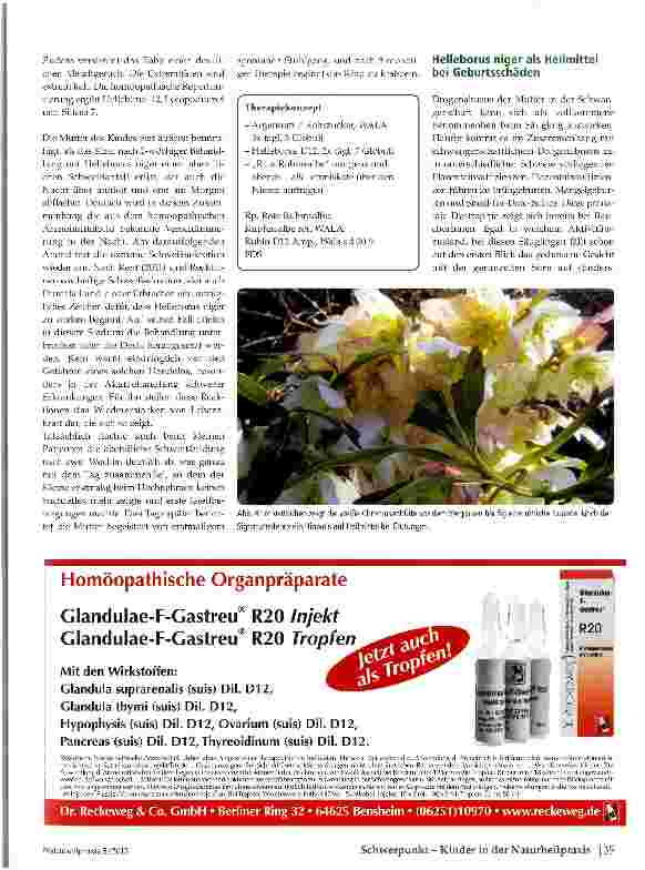 Vorschauseite 3: Die Christrose in der Kinderheilkunde