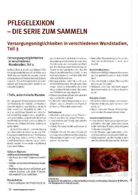 Vorschauseite 1: PFLEGE LEXIKON-DIE SERIE ZUM SAMMELN Versorgungsmöglichkeiten in verschiedenen Wundstadien, Teil 3