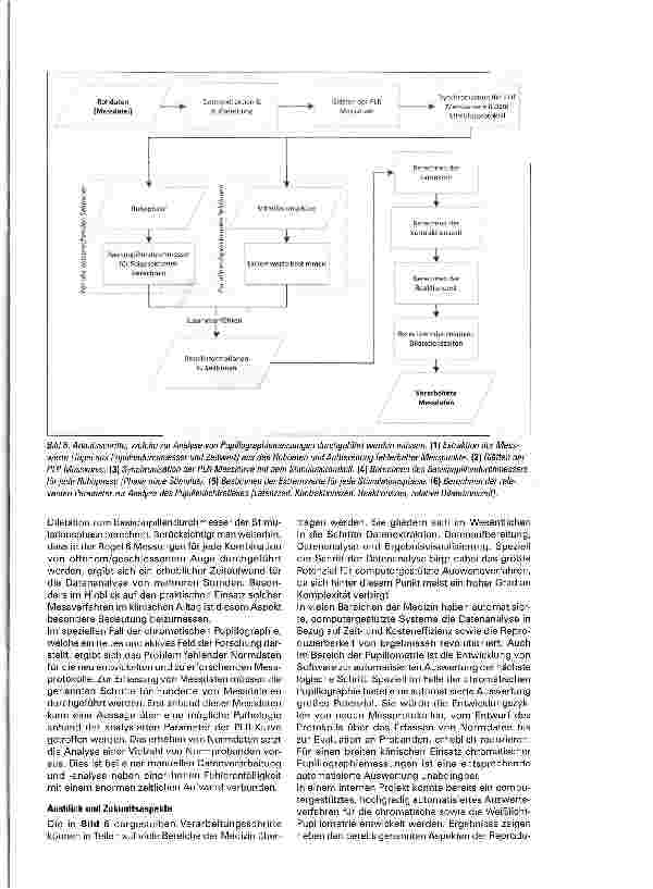 Vorschauseite 5: Aspekte der computergestützten Datenverarbeitung und Datenanalyse am Beispiel der Pupillometrie