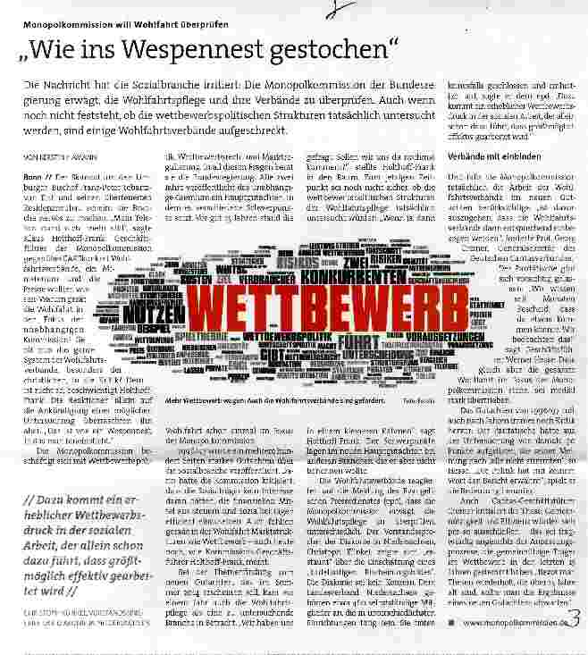 Vorschauseite 1: Wie ins Wespennest gestochen