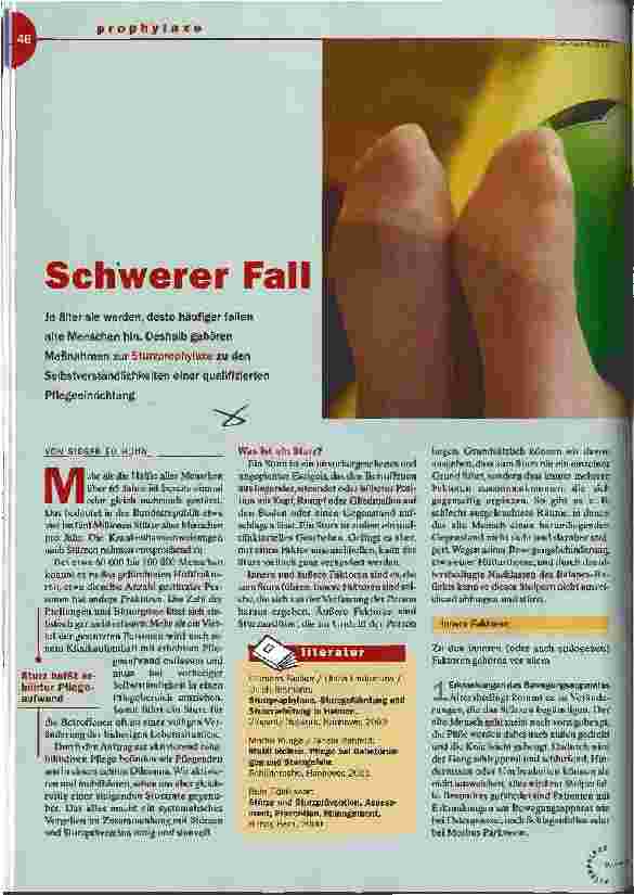 Vorschauseite 1: Schwerer Fall