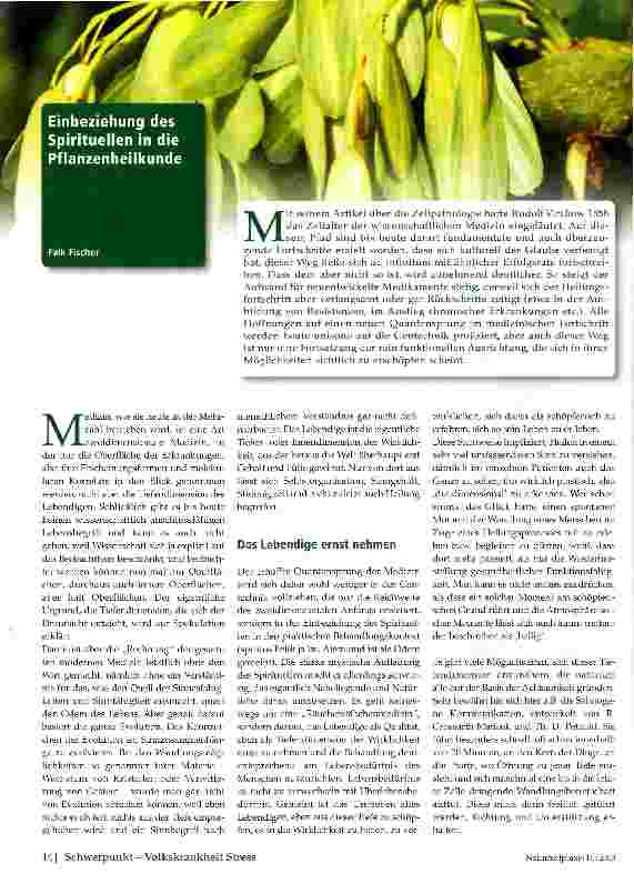 Vorschauseite 1: Einbeziehung des Spirituellen in die Pflanzenheilkunde