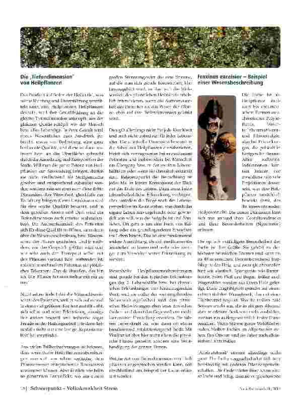 Vorschauseite 2: Einbeziehung des Spirituellen in die Pflanzenheilkunde