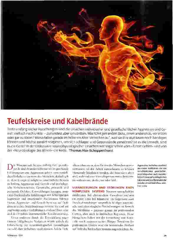 Vorschauseite 1: Teufelskreise und Kabelbrände