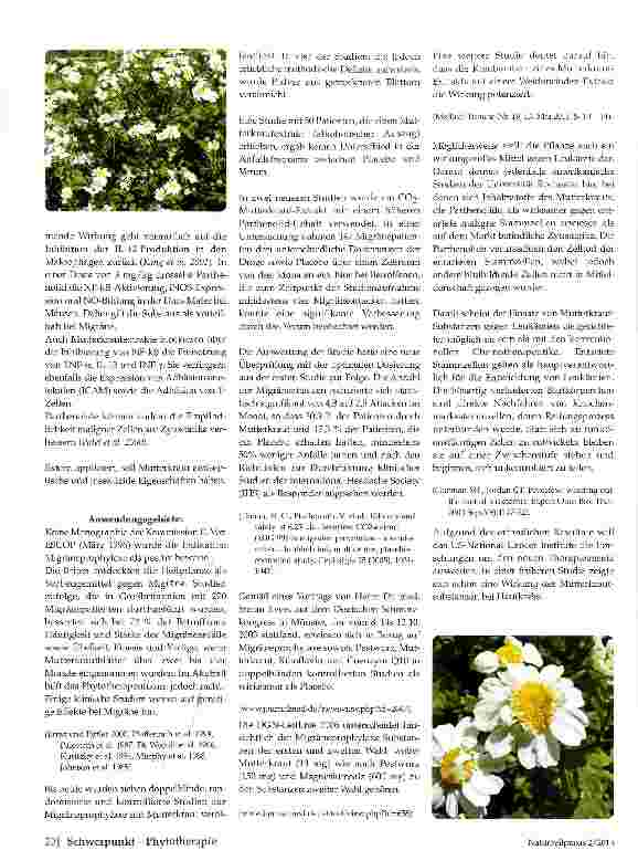 Vorschauseite 2: Mutterkraut