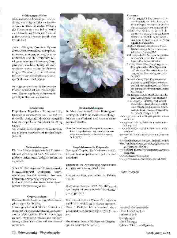 Vorschauseite 3: Mutterkraut