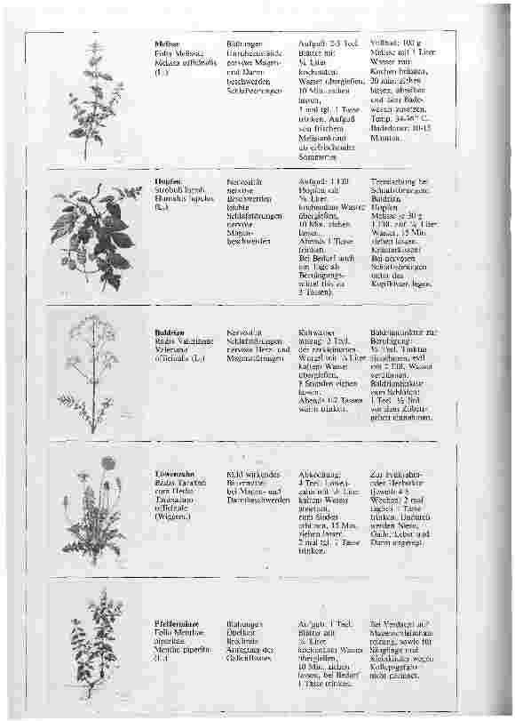 Vorschauseite 3: Phytotherapie und Homöopathie Möglichkeiten und Grenzen der therapeutischen Anwendung