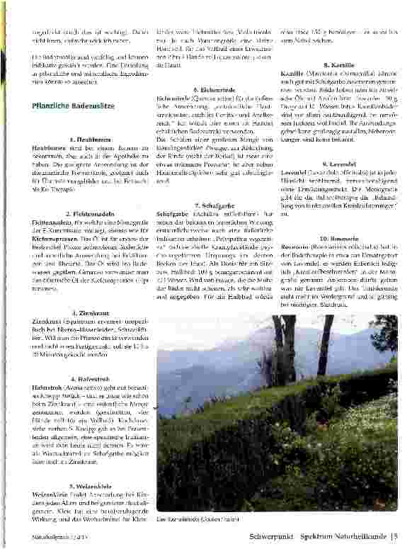 Vorschauseite 2: Badekuren
