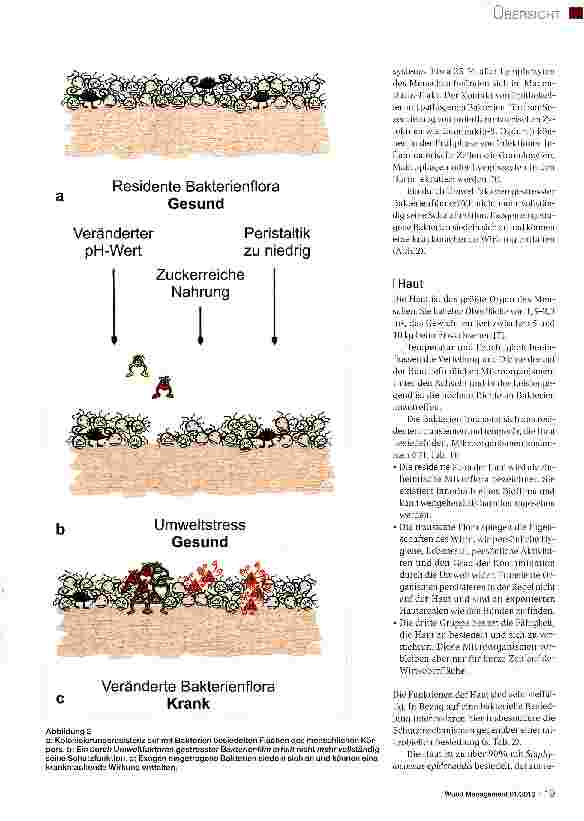Vorschauseite 2: Bakterielle Biofilme Teil 2: Besiedlung des Menschen
