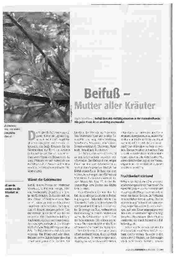 Vorschauseite 1: Beifuß - Mutter aller Kräuter