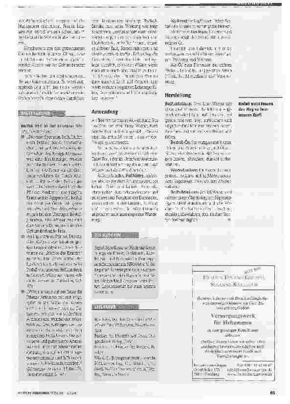 Vorschauseite 2: Beifuß - Mutter aller Kräuter