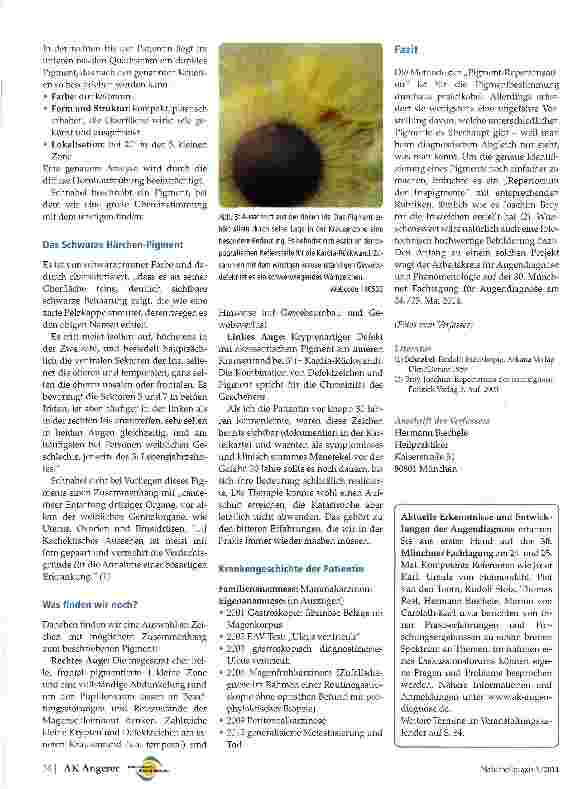 Vorschauseite 2: Pigment