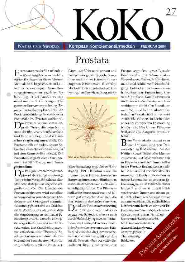 Vorschauseite 1: Prostata