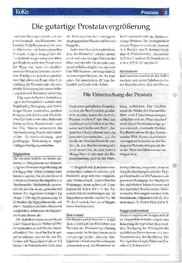 Vorschauseite 2: Prostata