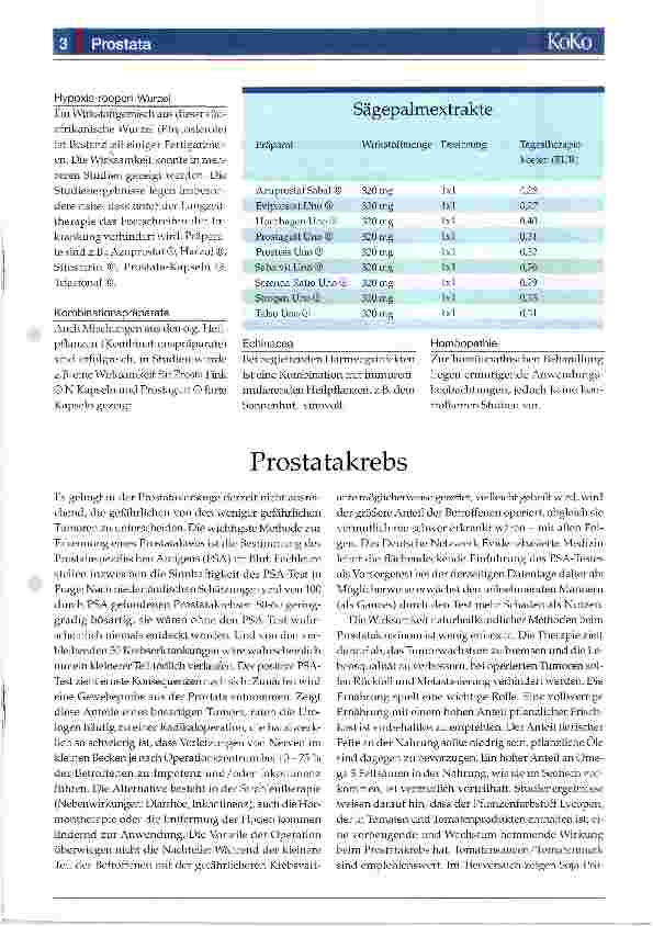 Vorschauseite 3: Prostata