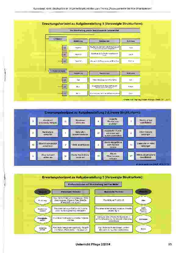 Vorschauseite 6: Strukturformen in Lernerfolgskontrollen zum Thema „Prozessorientiertes Wundmanagement