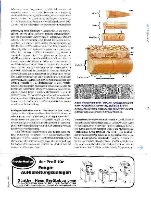 Vorschauseite 2: Wissenschaft aktuell: Muskelkater Adaptation in der Myofibrille