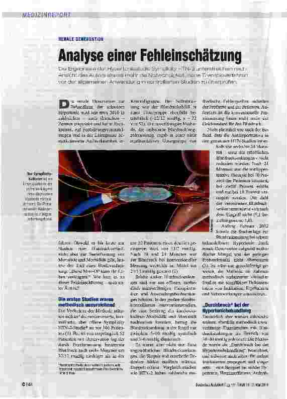 Vorschauseite 1: Analyse einer Fehleinschätzung