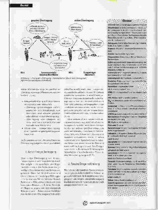 Vorschauseite 3: Ratten und Mäuse - unterschätzte Überträger und Reservoire gefährlicher Infektionskrankheiten?