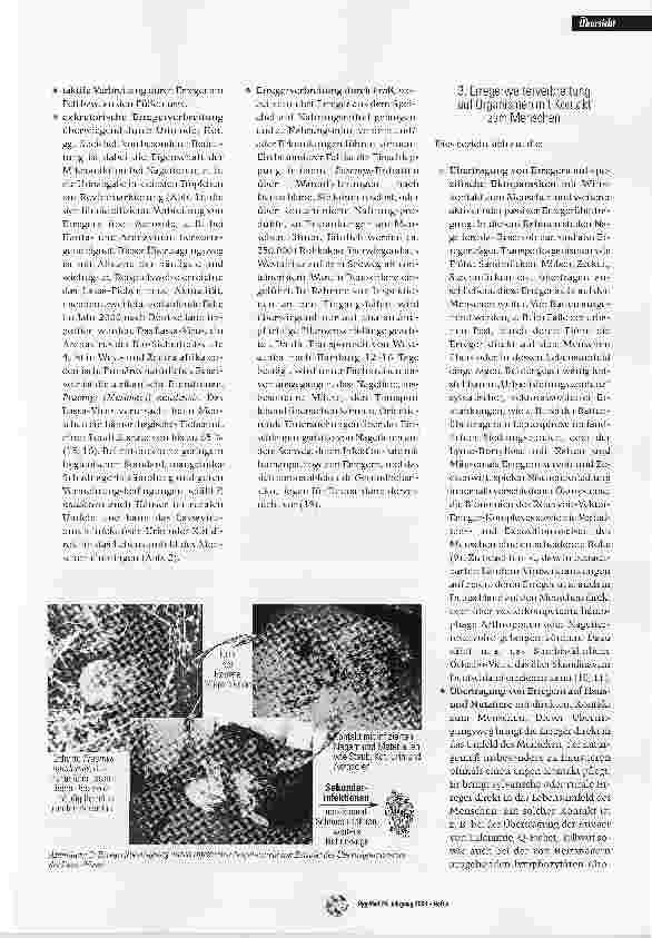 Vorschauseite 4: Ratten und Mäuse - unterschätzte Überträger und Reservoire gefährlicher Infektionskrankheiten?