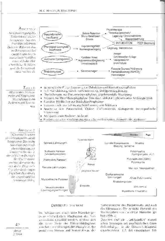 Vorschauseite 2: LEITSYMPTOM AKUTE TETRAPARESE