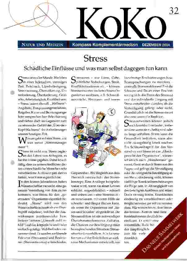 Vorschauseite 1: Stress Schädliche Einflüsse und was man selbst dagegen tun kann
