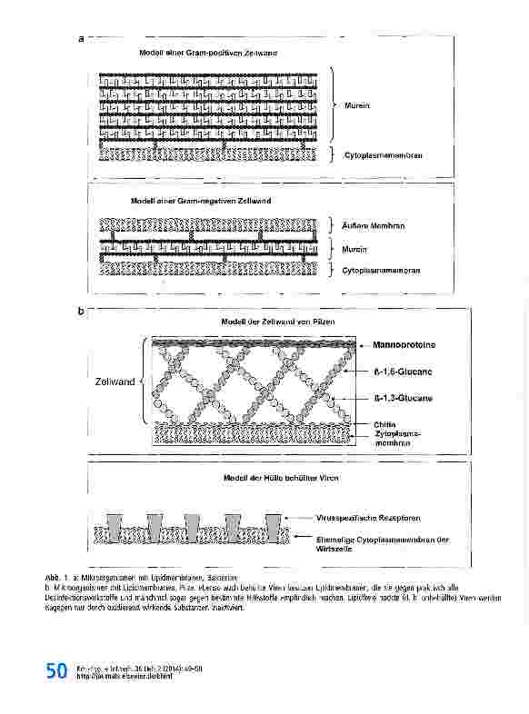 Vorschauseite 2: Desinfektionsmittel und deren Fehler