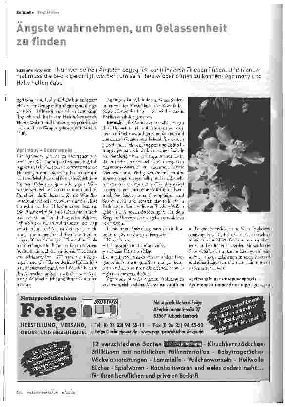 Vorschauseite 1: Ängste wahrnehmen, um Gelassenheit zu finden