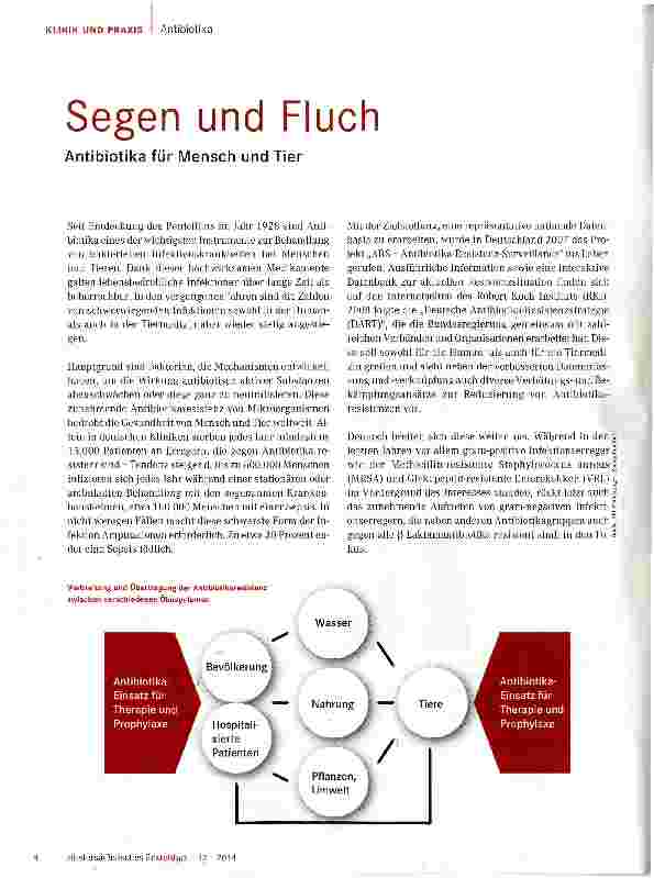 Vorschauseite 1: Segen und Fluch